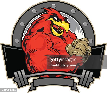 Cardinal Flex Cardinal Flex
