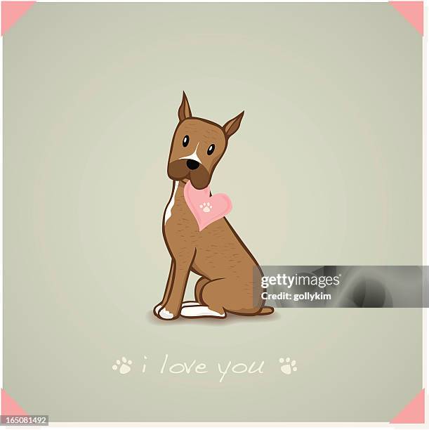 cropped ears brindle boxer - boxer dog stock illustrations