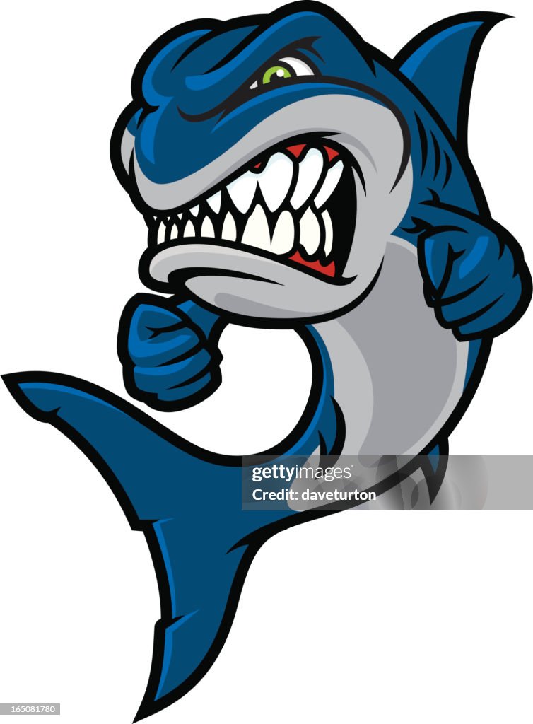 Angry Shark