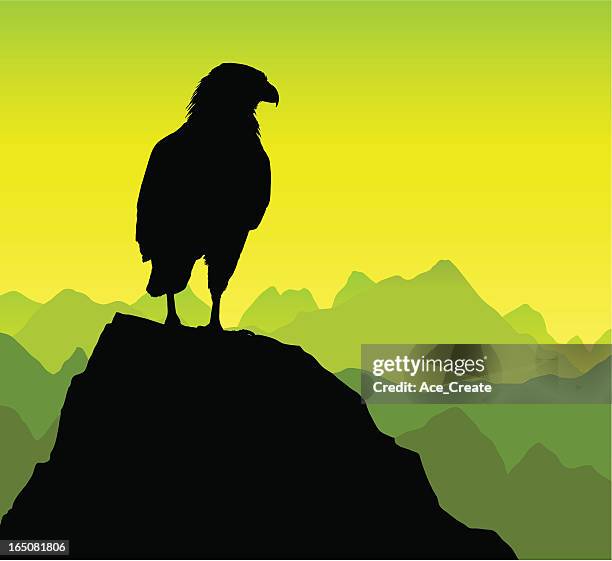 stockillustraties, clipart, cartoons en iconen met eagle on a rocky peak - roofvogel