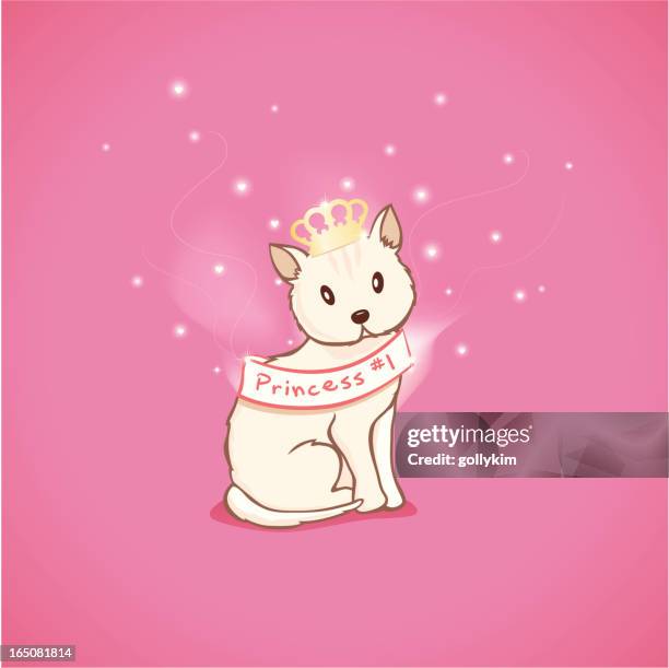 cat beauty pageant - sash stock illustrations