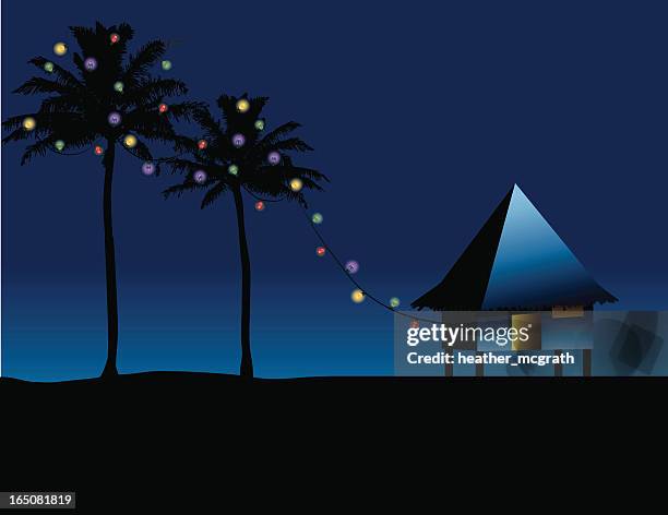 stockillustraties, clipart, cartoons en iconen met christmas in the islands - zoom to see lights! - hawaii christmas