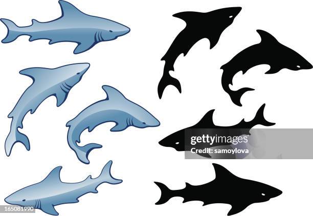 shiny sharks - sharks stock illustrations