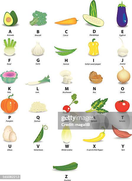 ilustraciones, imágenes clip art, dibujos animados e iconos de stock de verduras alfabeto - fennel