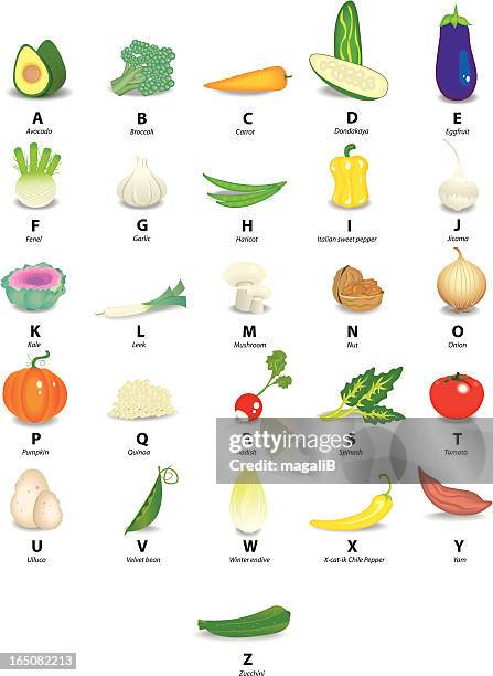 vegetables alphabet - endive stock illustrations