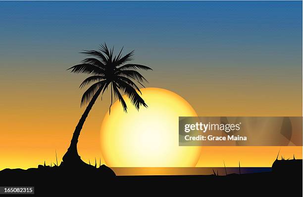 silhouetted palm tree on a beach with a giant sun setting - pacific islands stock illustrations