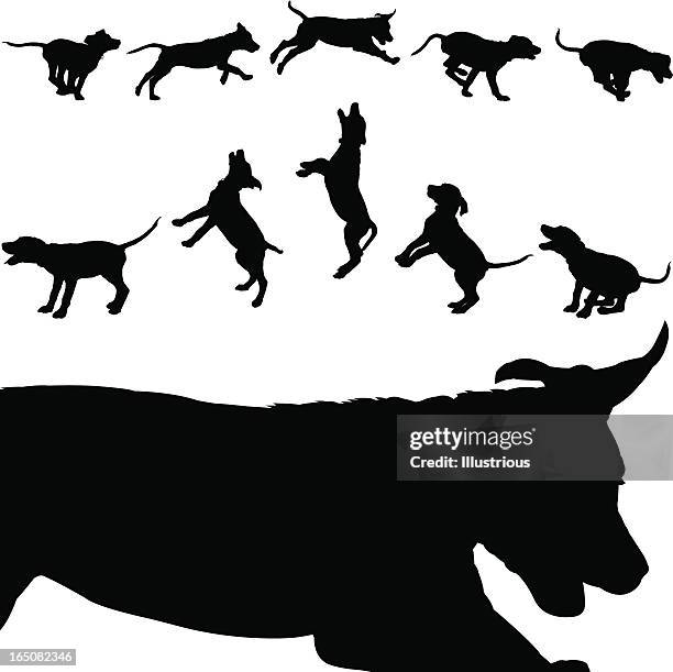 ilustraciones, imágenes clip art, dibujos animados e iconos de stock de cachorro en juego - dog silhouette