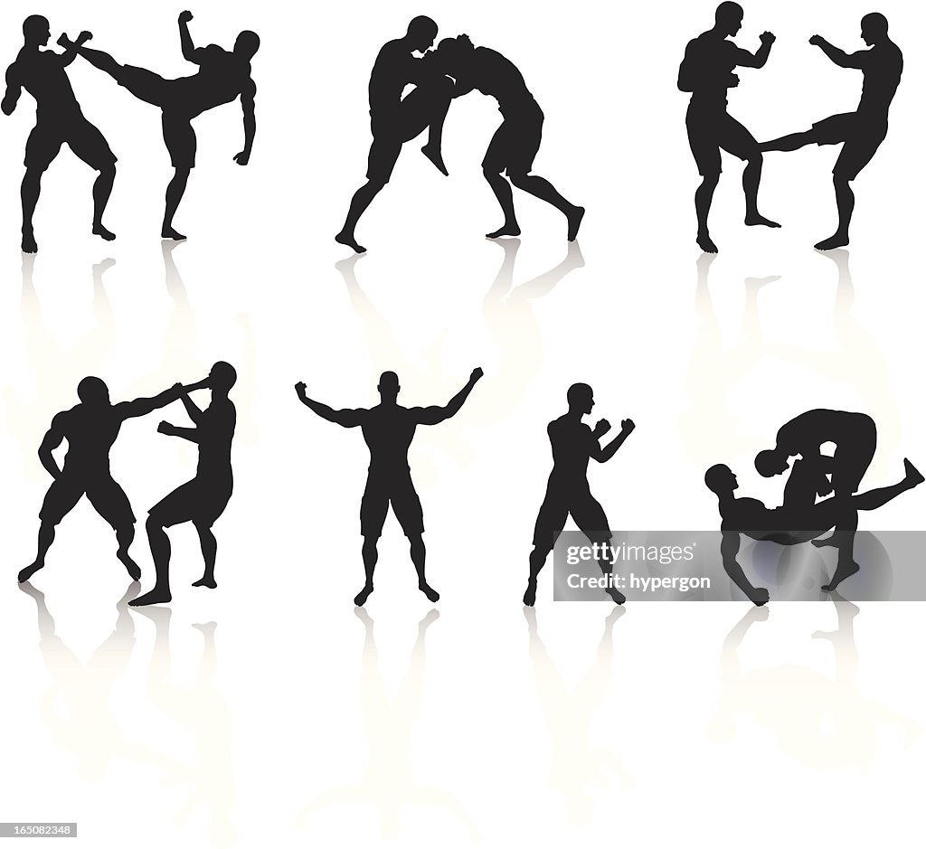 Mixed Martial Arts