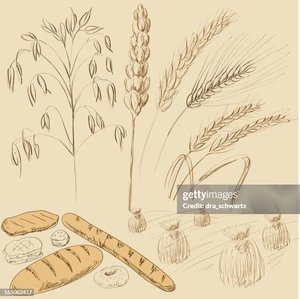 bread - whole wheat bread stock illustrations