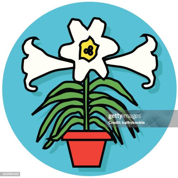 madonnenlilie-symbol - easter lily stock-grafiken, -clipart, -cartoons und -symbole