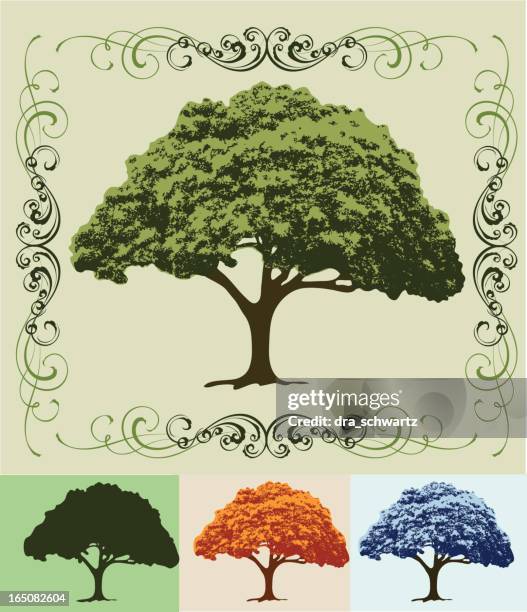 tree - olive tree stock illustrations