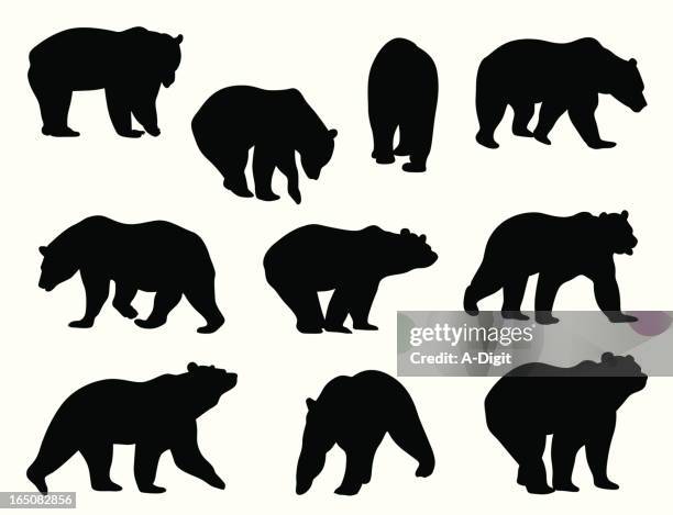 bildbanksillustrationer, clip art samt tecknat material och ikoner med grizzly bears - bear