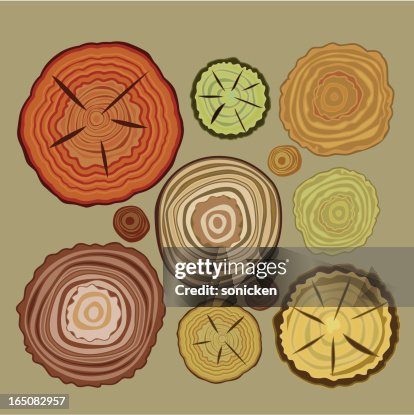 Tree Rings Graphic Key Tree Rings High-Res Vector Graphic - Getty Images