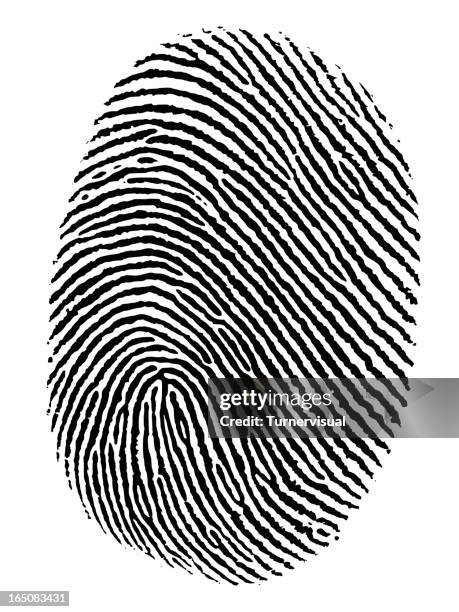 fingerprint vector - fingerprint stock illustrations