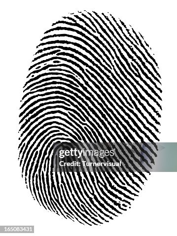 Fingerprint Vector Fingerprint Vector