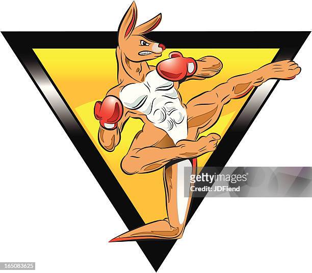 kickboxer kangaroo - australia kangaroos training session stock illustrations