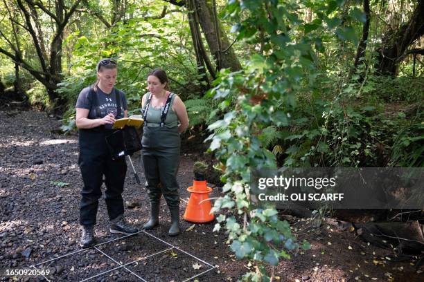 Louise Lavictoire and Jodie Warren, of the Freshwater Biological Association, plan the release of juvenile freshwater mussels that have been reared...