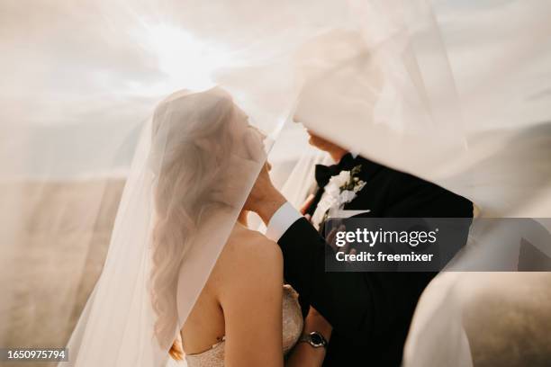 bride and groom under a long veil in nature - noivo papel em casamento imagens e fotografias de stock