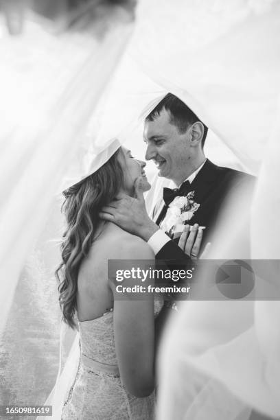 bride and groom kissing tenderly under a long veil in nature - noivo papel em casamento imagens e fotografias de stock
