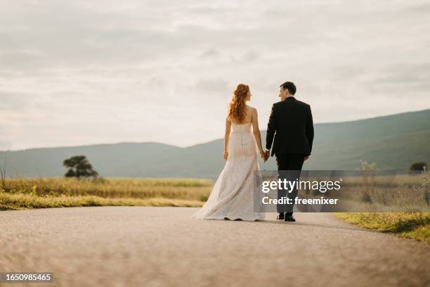 hand in hand among summer beauty - bride and groom back stock pictures, royalty-free photos & images
