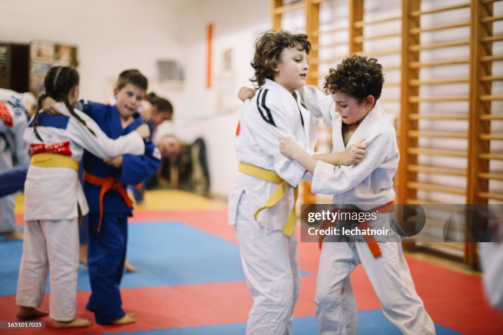 Judo martial arts training