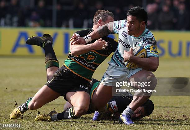 George Pisi 896 George Pisi Photos & High Res Pictures - Getty Images