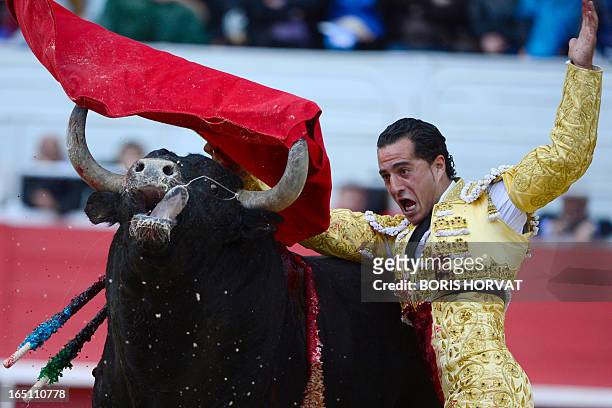 Spanish matador Yvan Fandino performs a pass on a Spanish Torrestrella bull during the spring feria, on March 30, 2013 in Arles, southern France. AFP...