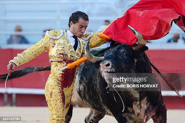 Spanish matador Yvan Fandino performs a pass on a Spanish Torrestrella bull during the spring feria on March 30, 2013 in Arles, southern France. AFP...