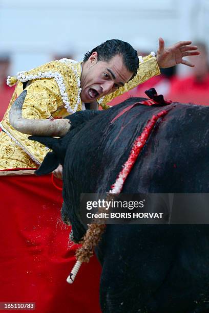 Spanish matador Yvan Fandino performs a pass on a Spanish Torrestrella bull during the spring feria on March 30, 2013 in Arles, southern France. AFP...