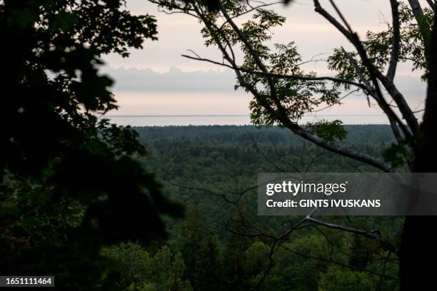 Slitere Slitere Photos and Premium High Res Pictures - Getty Images