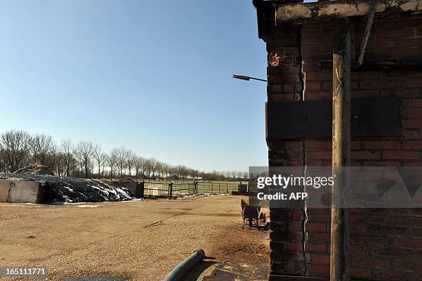 Picture taken on March 12, 2013 shows one of many cracks in a farm building in Middelstum, some 10km from Groningen, caused by repeated earthquakes...