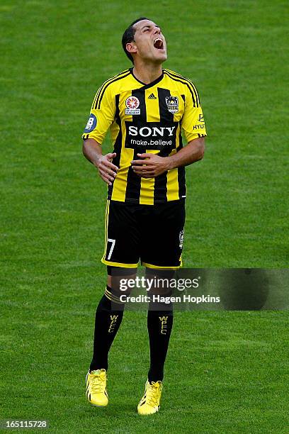 Leo Bertos of the Phoenix shows his frustration after a missed opportunity during the round 27 A-League match between the Wellington Phoenix the...