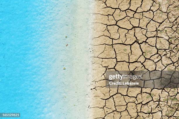 drought - dry stock pictures, royalty-free photos & images