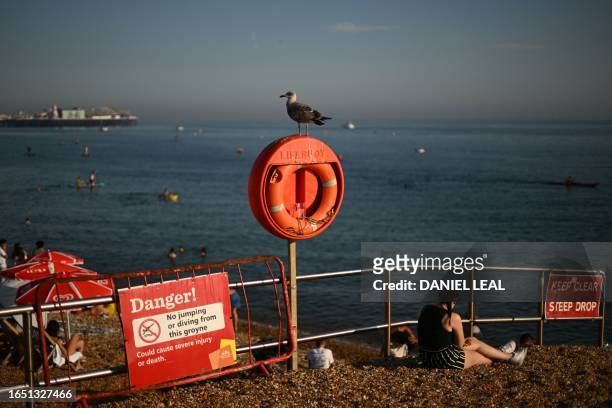 Young gull stands on a lifebuoy as beachgoers enjoy the sun and the sea on the beach at Brighton, on the south coast of England on September 7 as the...