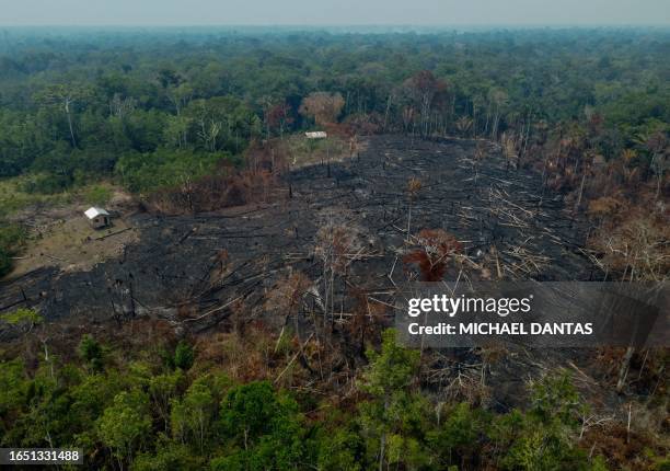 Burnt trees are seen after illegal fires were lit by farmers in Manaquiri, Amazonas state, on September 6, 2023. From September 2, 2023 to September...