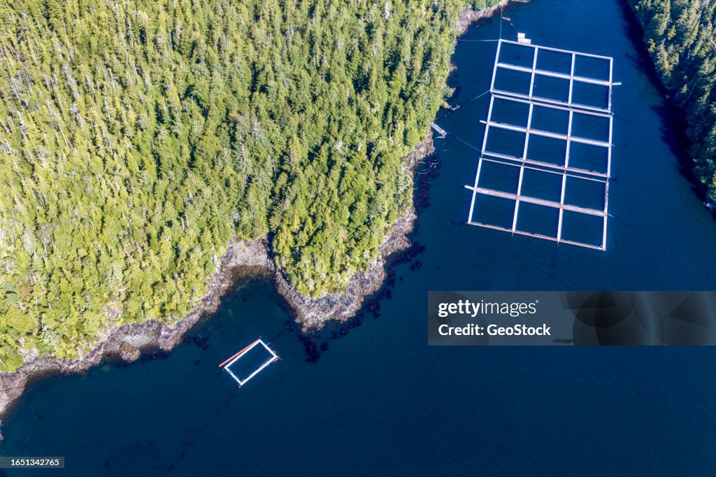 Aerial view of a fish farm