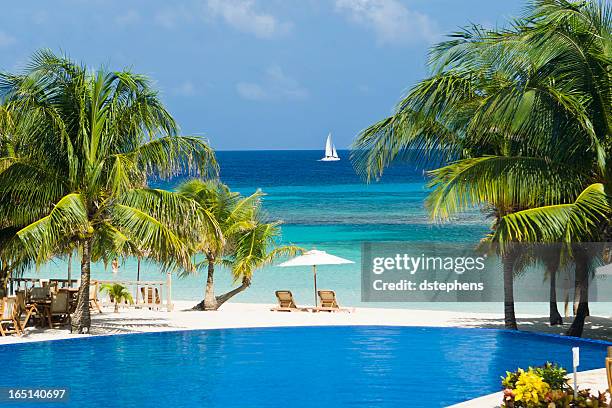 tropical beach resort pool - roatan stock pictures, royalty-free photos & images