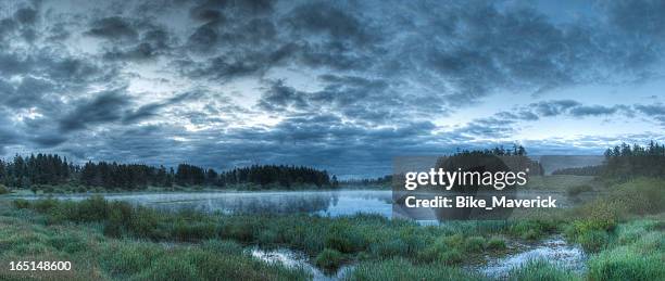 misty lake - swamp stock pictures, royalty-free photos & images