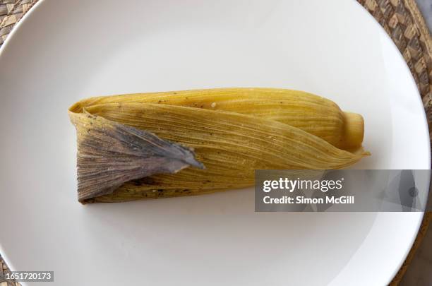 envuelto de maíz [steamed sweet corn, cheese and raisin tamale] on a plate - envuelto stock pictures, royalty-free photos & images