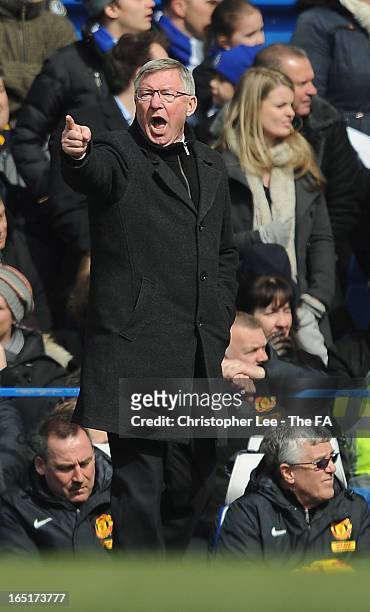 Manager Sir Alex Ferguson of Manchester United shouts at his players during the FA Cup Sixth Round Replay match between Chelsea and Manchester United...