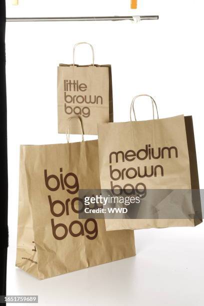 Bloomingdale's Little brown bag, Little Chicago Bag