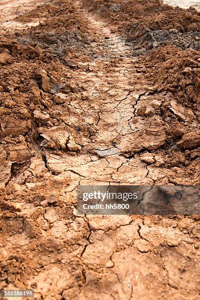 Compressed Dirt Path Dirt Path Texture Photos and Premium High Res Pictures - Getty Images