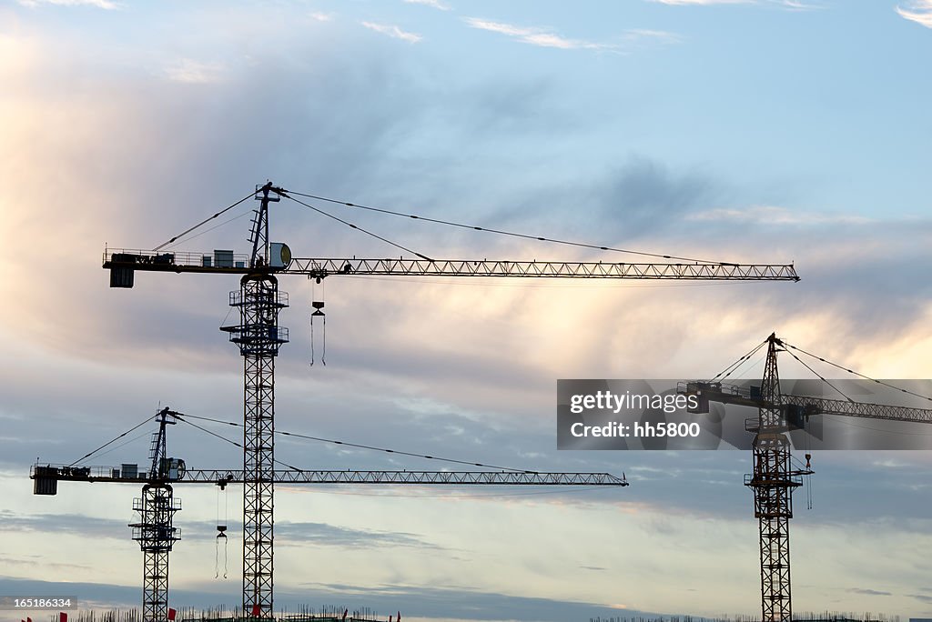 Silhouette of Cranes