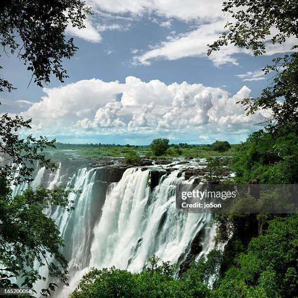 victoria falls, zambia, southern africa - victoria falls stock pictures, royalty-free photos & images