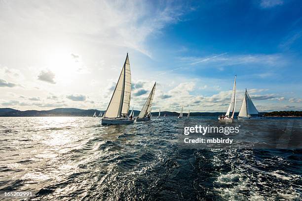 sailing regatta - sailing race stock pictures, royalty-free photos & images