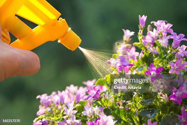 fertilizer - fertilizer stock pictures, royalty-free photos & images