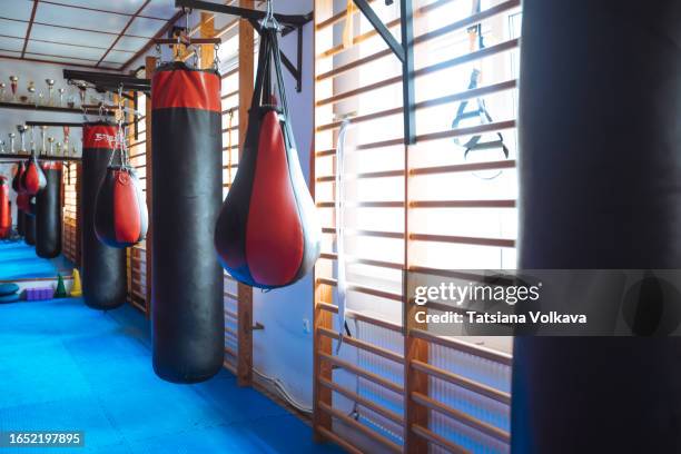 photo of well-equipped gym with vertical ladders and punching bags - karate stockfoto's en -beelden