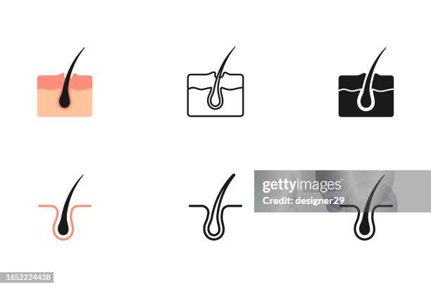 hair follicle structure icon set. - hair follicle stock illustrations