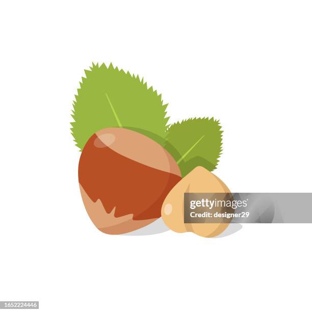 ilustrações de stock, clip art, desenhos animados e ícones de hazelnut icon vector design. - amendoas