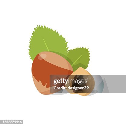 Hazelnut Icon Vector Design. Hazelnut Icon Vector Design.
